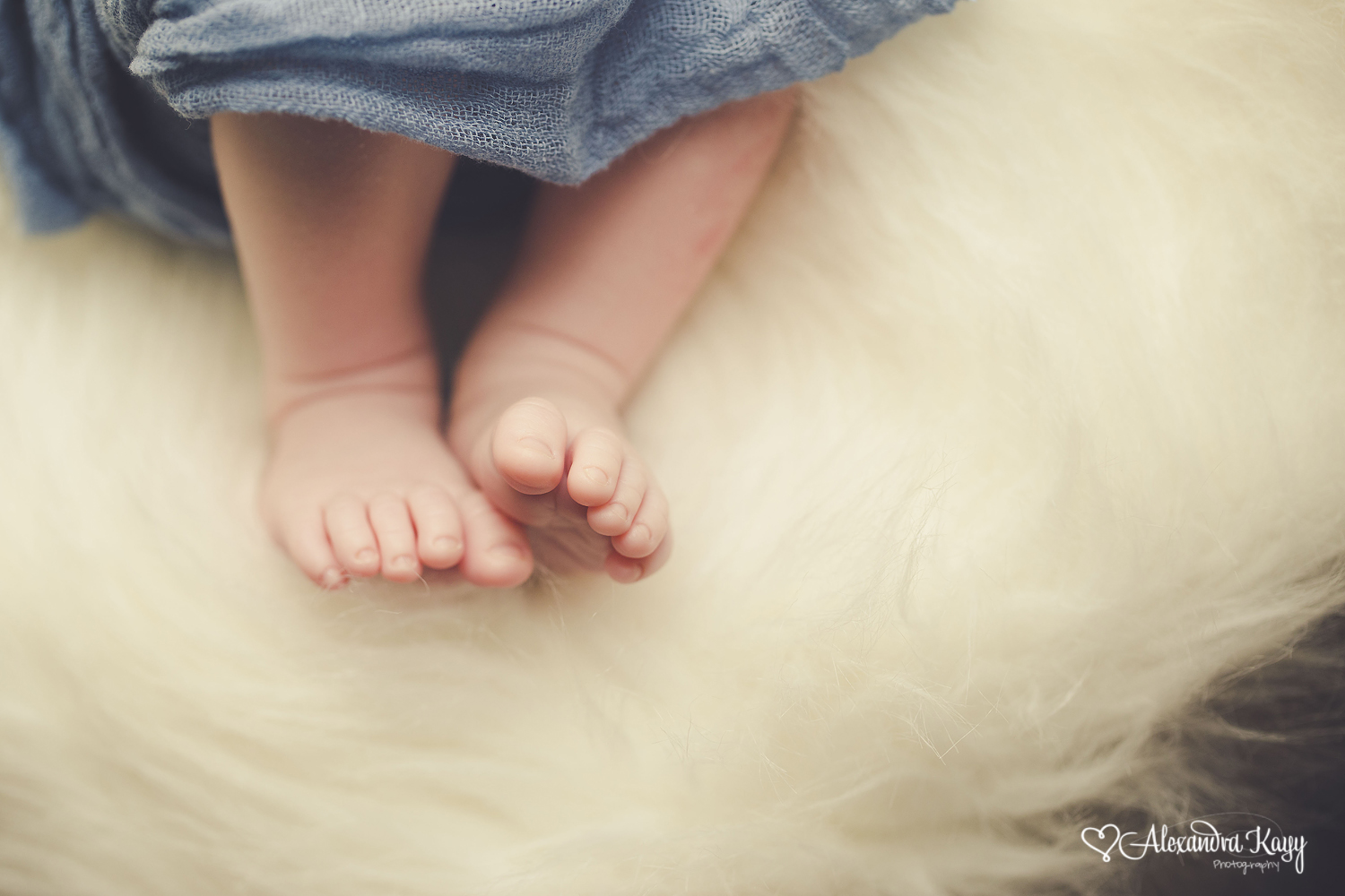 West Hills Newborn Photographer | Alexandra Kayy Photography