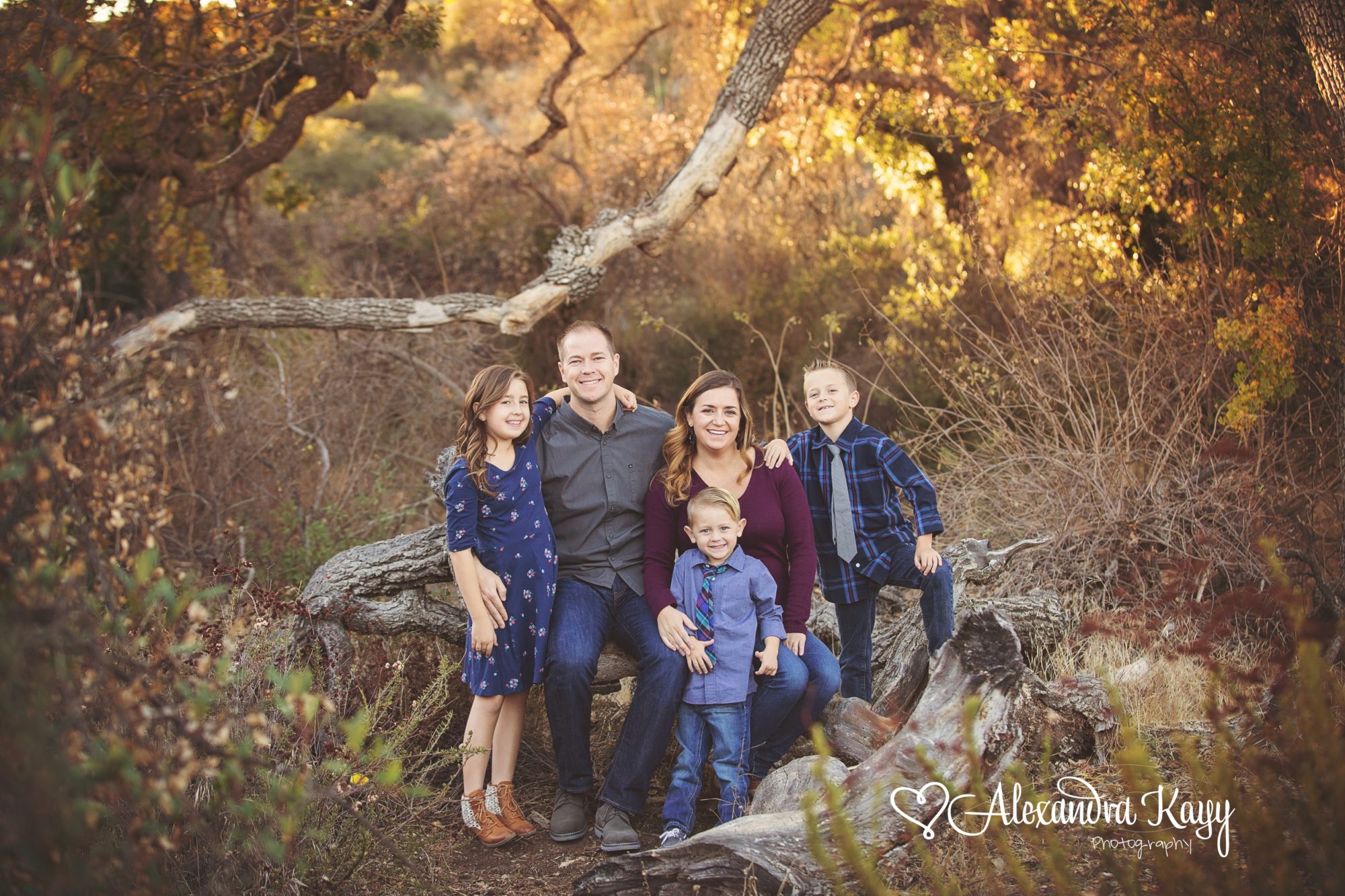 family photographer arizona, family photography phoenix, family portraits near me