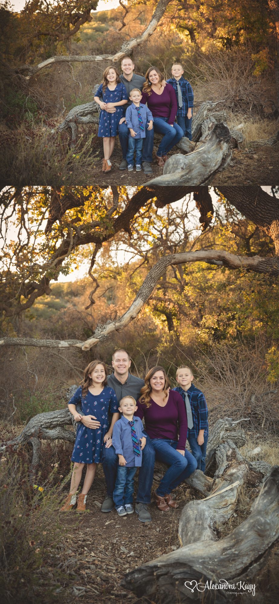 Professional Family Portrait Session