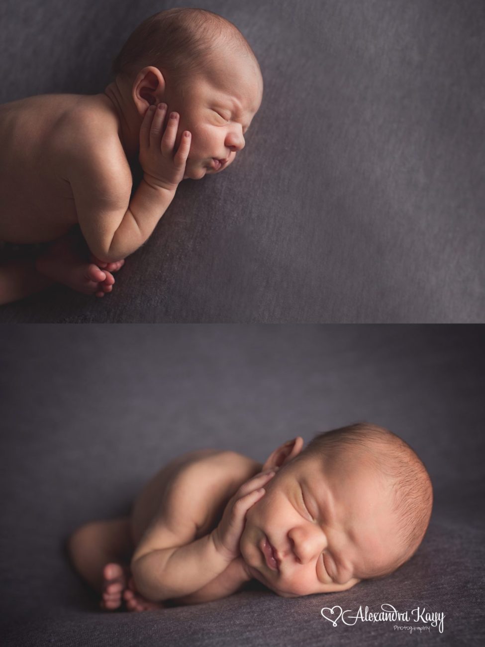 newborn portrait studio