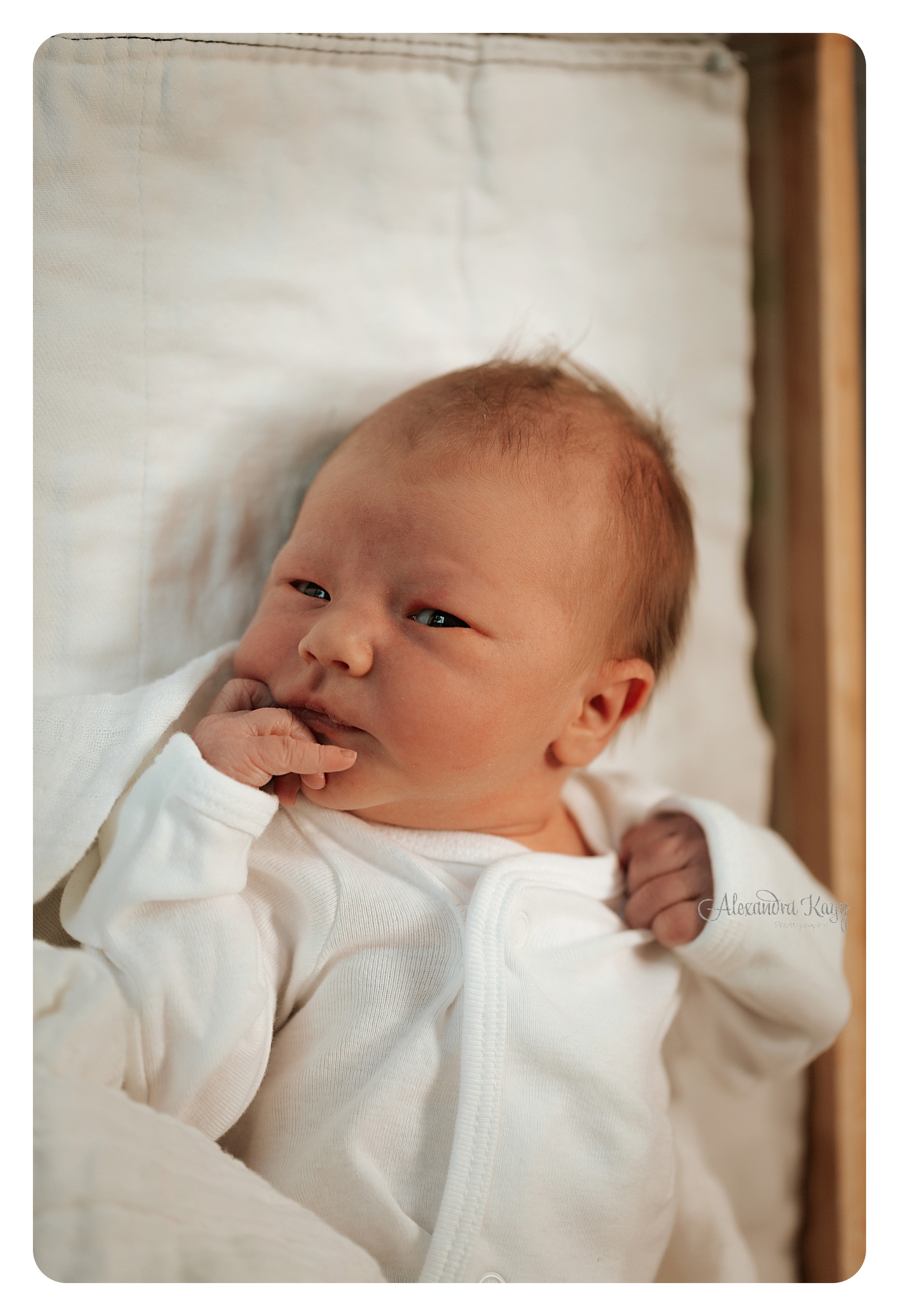 Santa Monica Hospital Session - NEWBORN Photographer Alexandra Kayy Photography