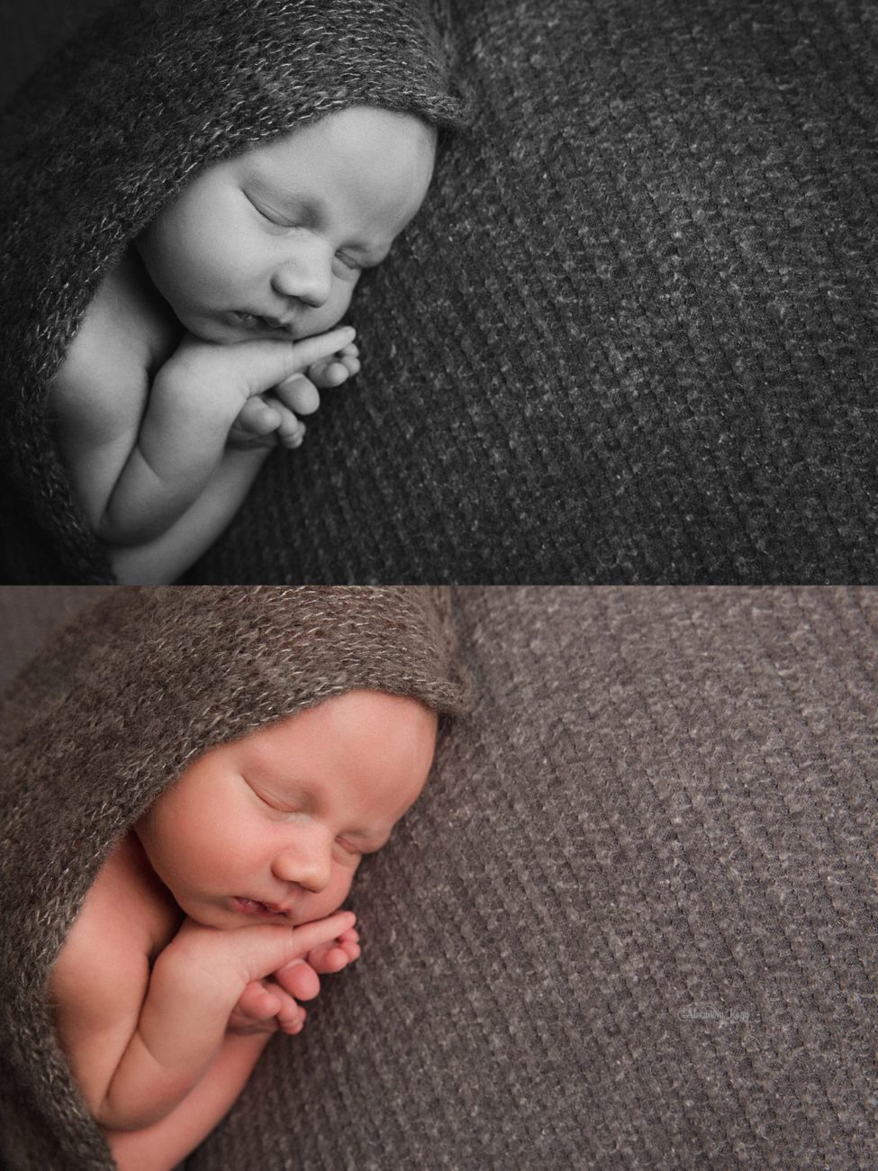 Litchfield Park Newborn Photographer