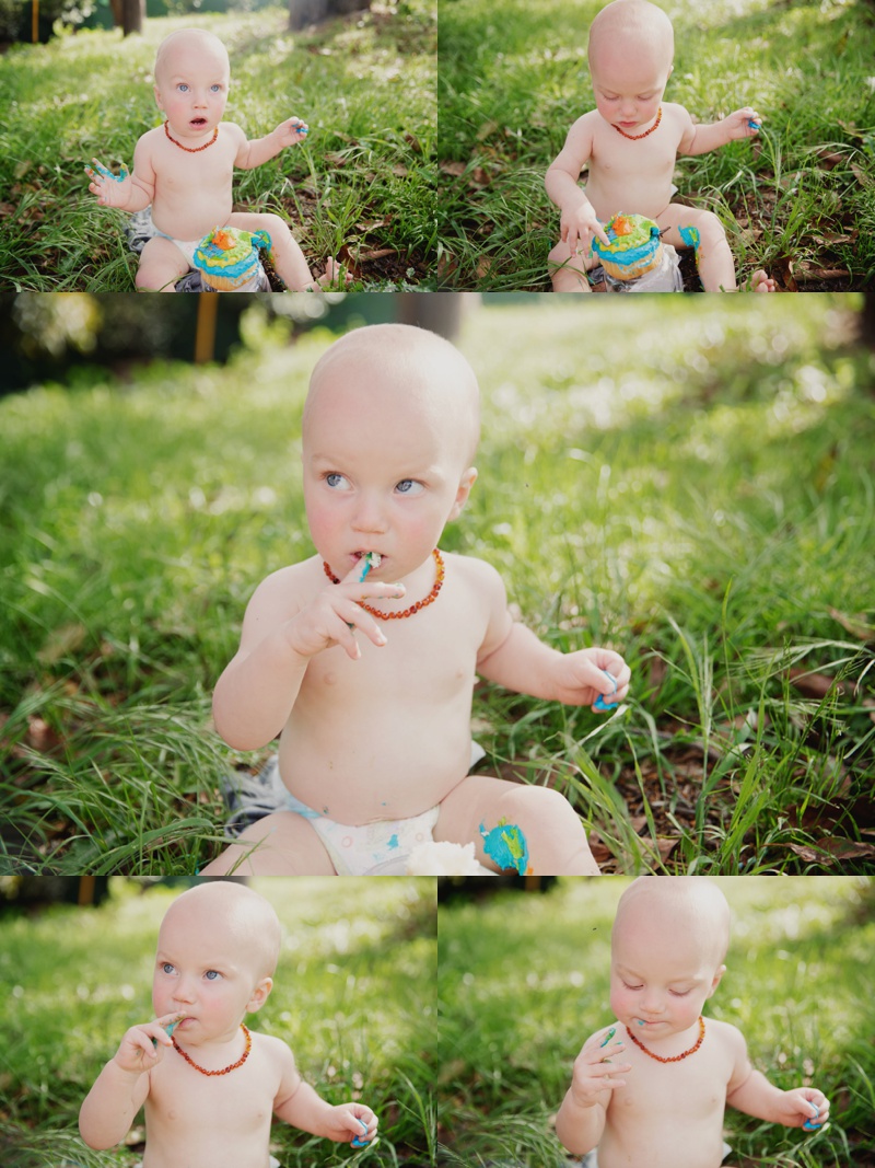 HENDRIX IS ONE!!  Goodyear, AZ Photographer