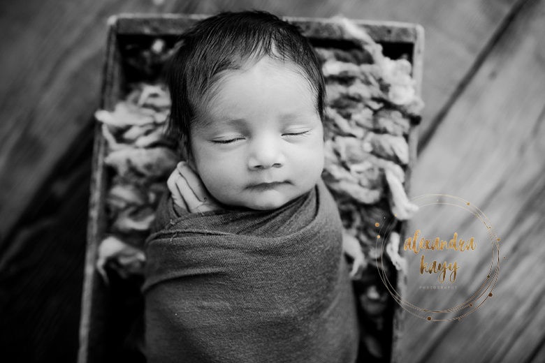 Newborn Photography In Phoenix