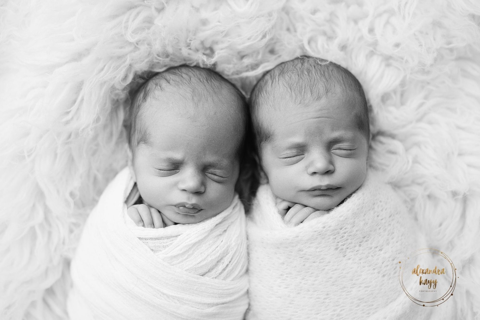 Litchfield Park Newborn Twins Photographer