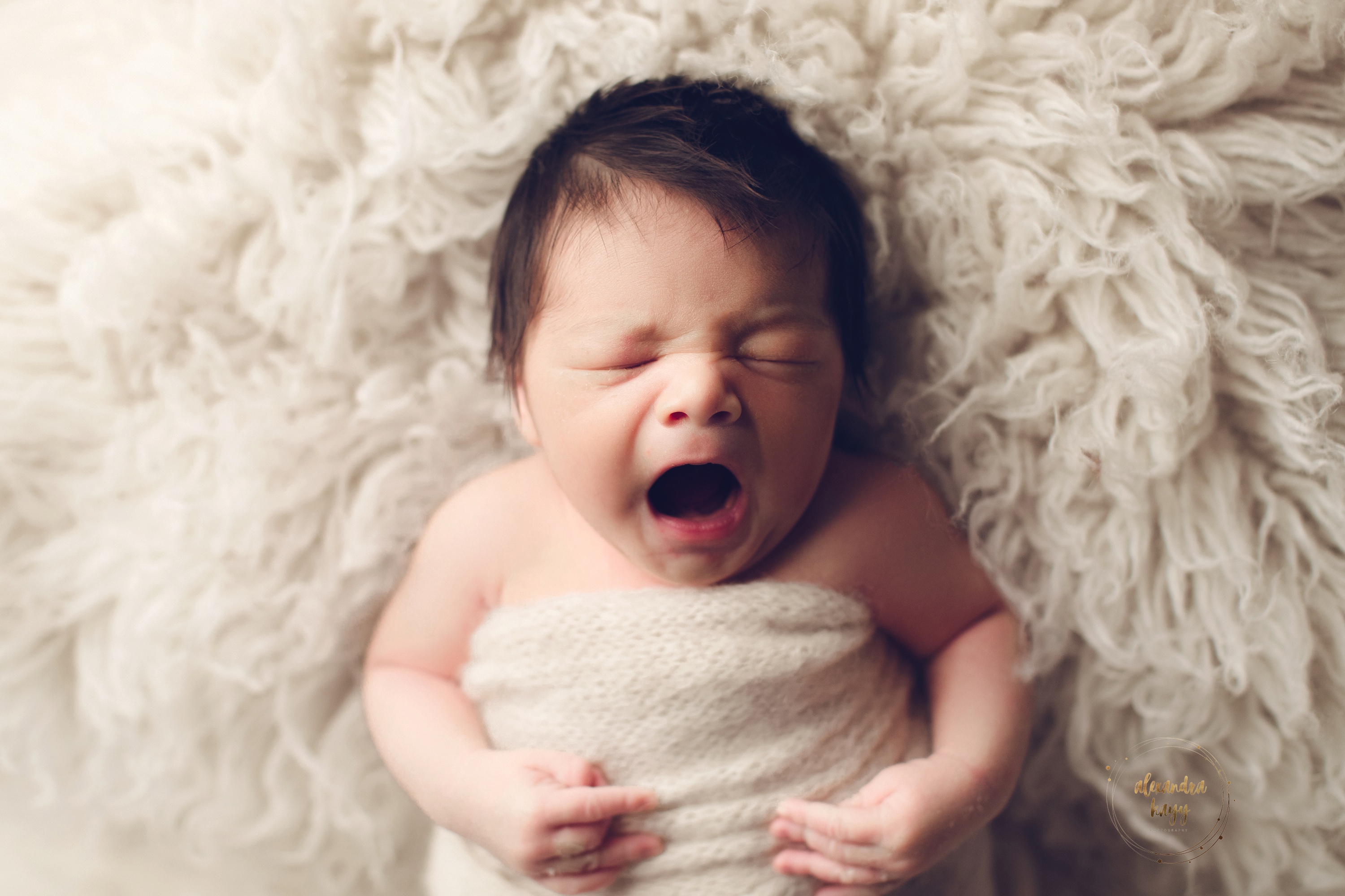 Gael- Peoria, AZ Newborn Portrait Session