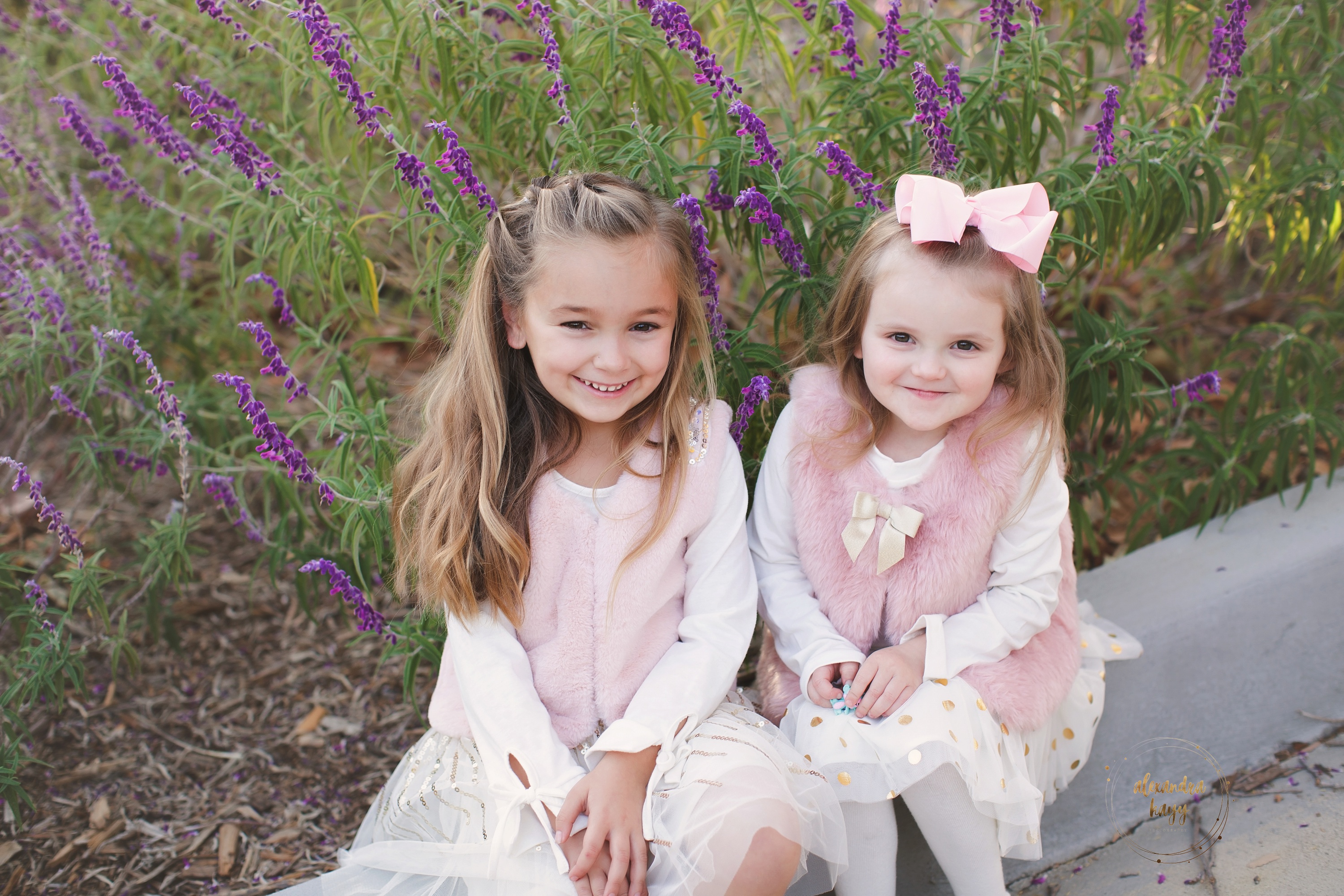 Queen Creek Family Photographer