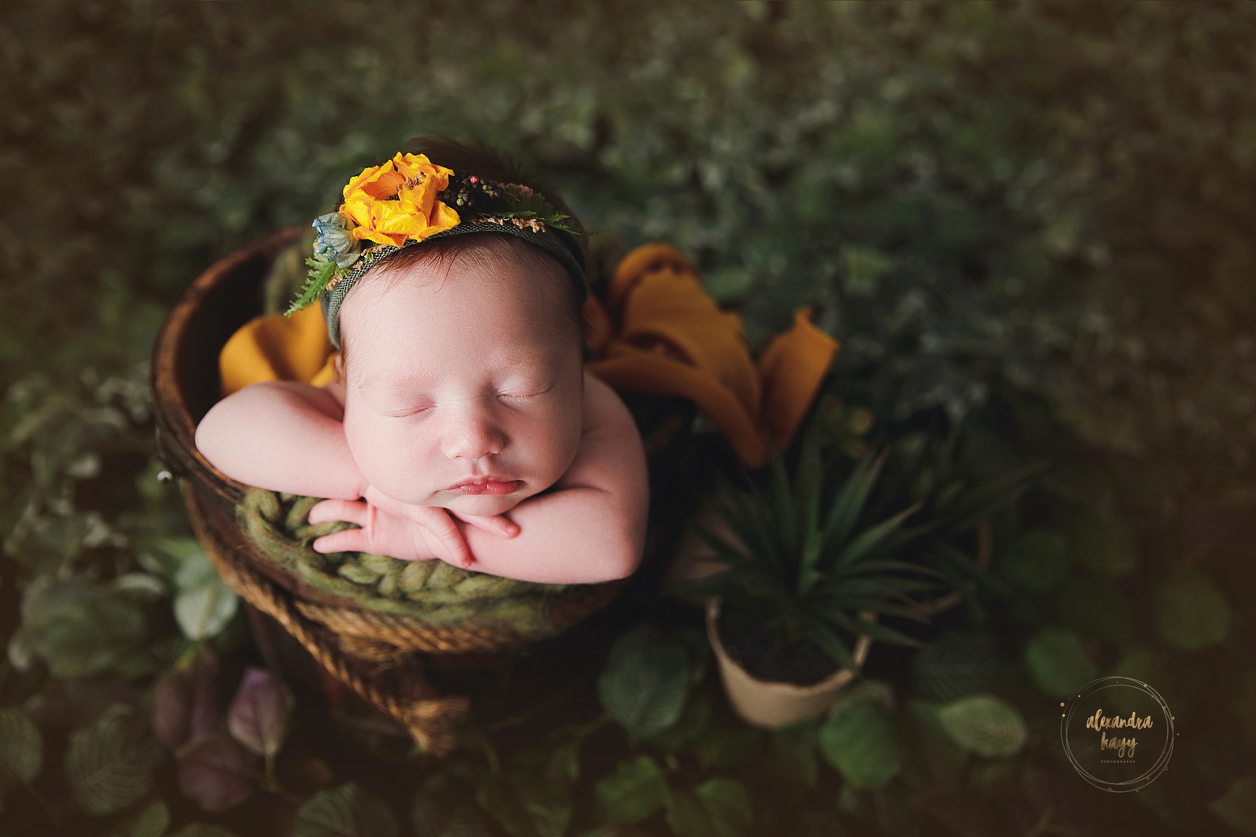 queen creek newborn photographer, queen creek newborn photographer, newborn photography near me, phoenix newborn photoshoot near me