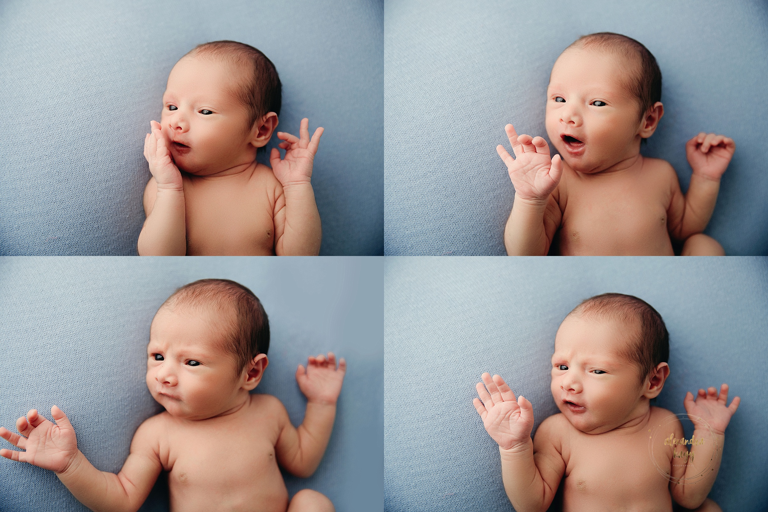 best newborn photos phoenix arizona_0073.jpg