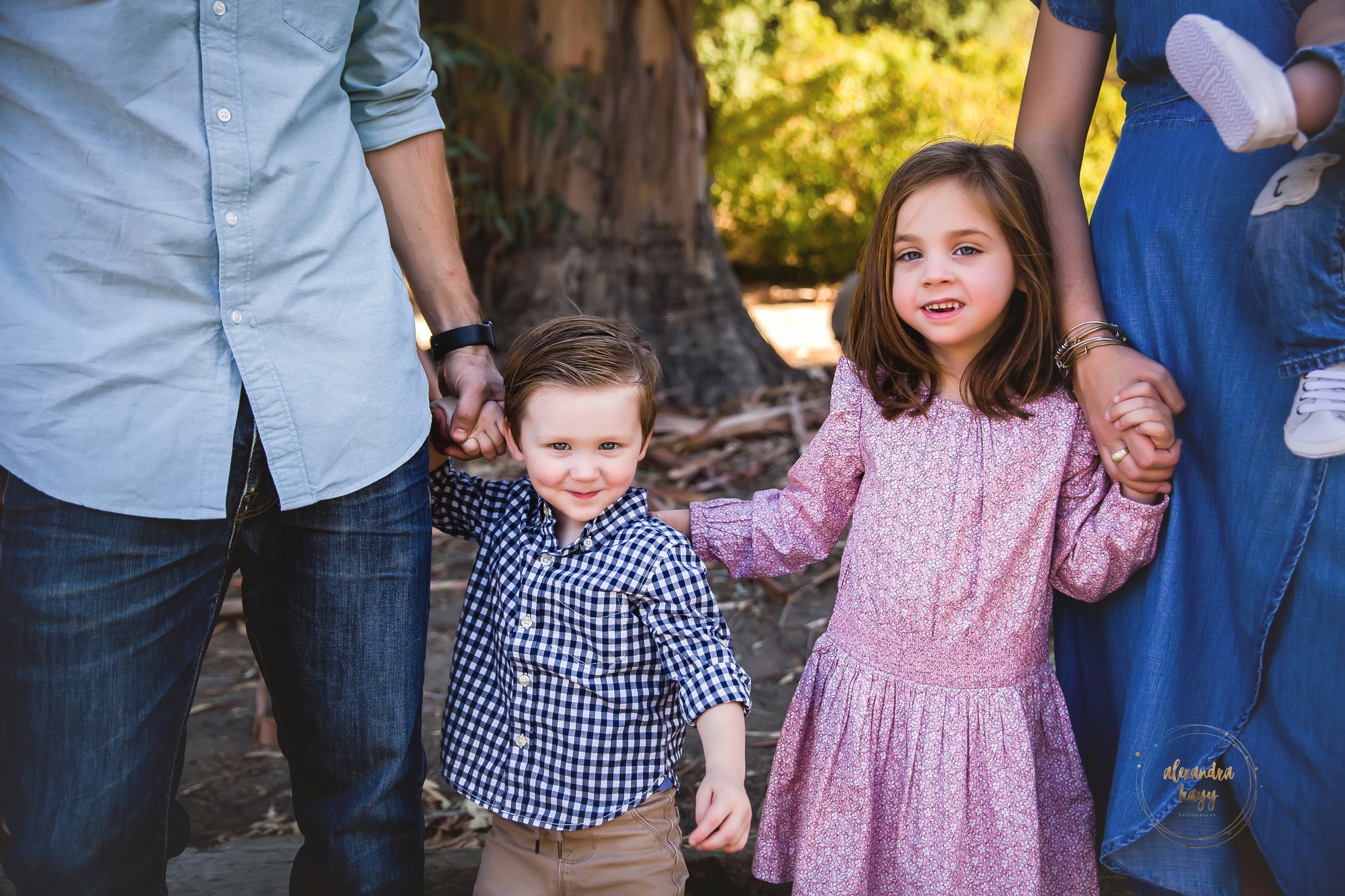 Phoenix family photographer, family photography, family photos Phoenix, get family photos taken, maricopa county family photos, professional family photographer near me