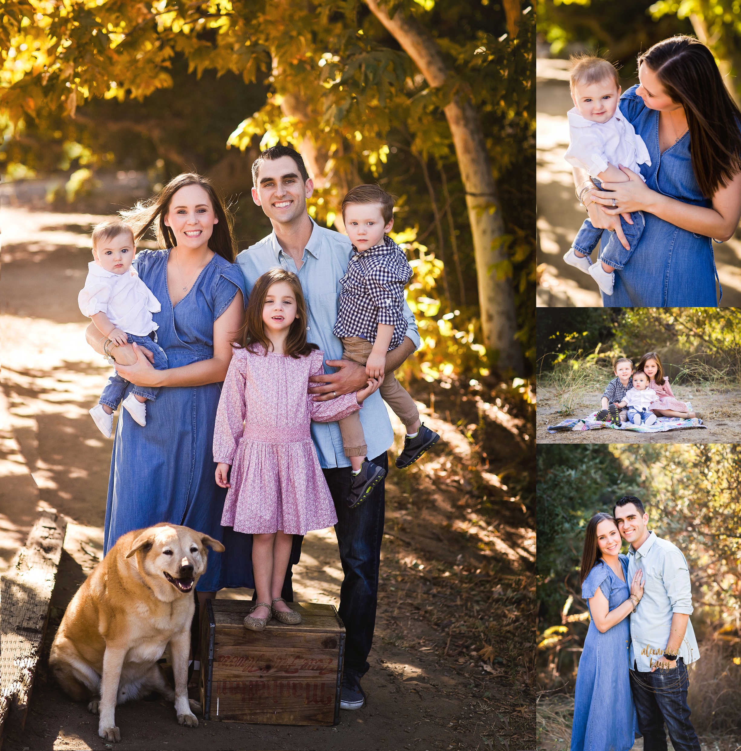 Phoenix family photographer, family photography, family photos Phoenix, get family photos taken, maricopa county family photos, professional family photographer near me