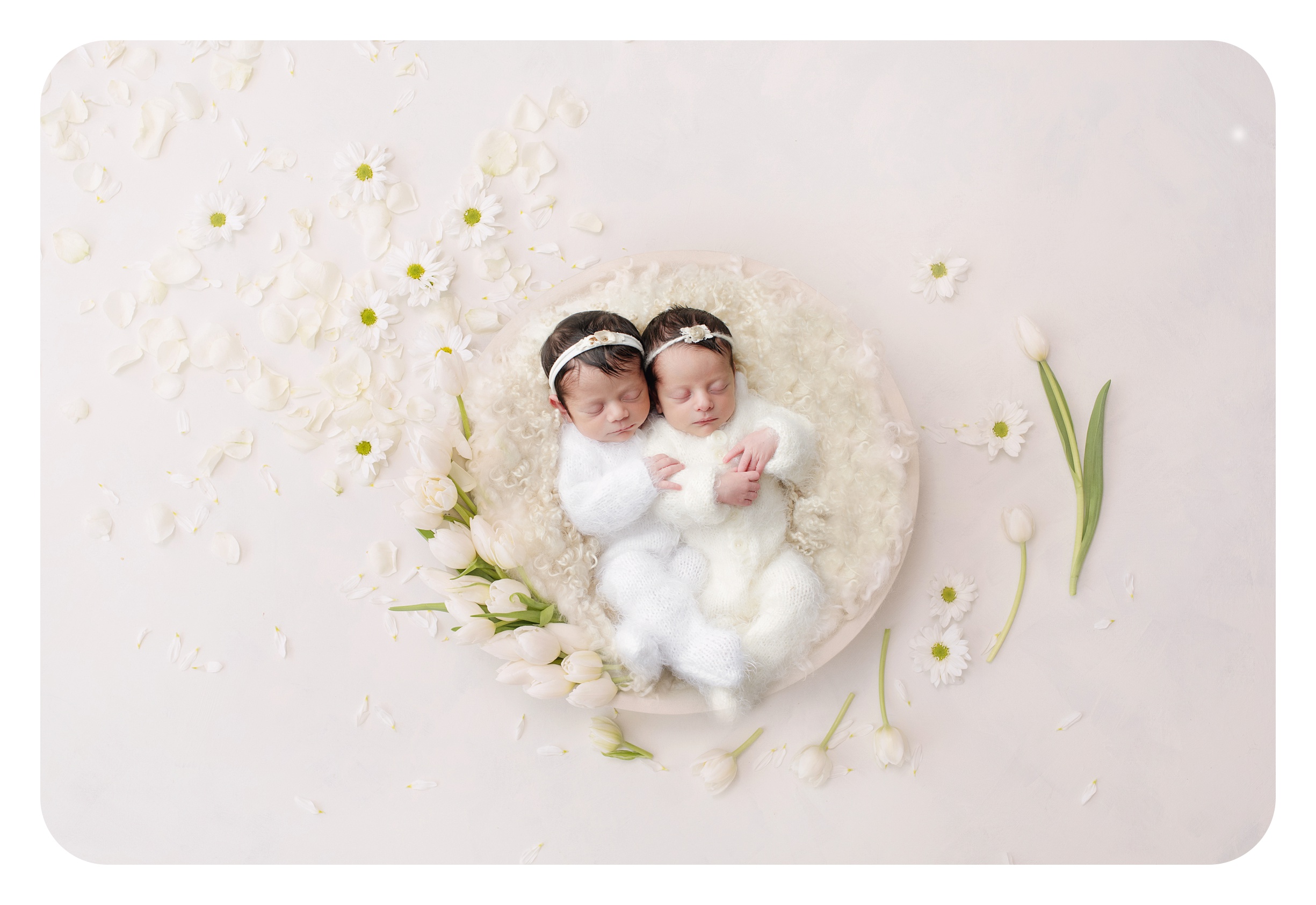 professional newborn photography