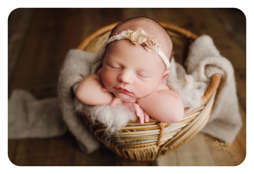 sherman oaks newborn photographer