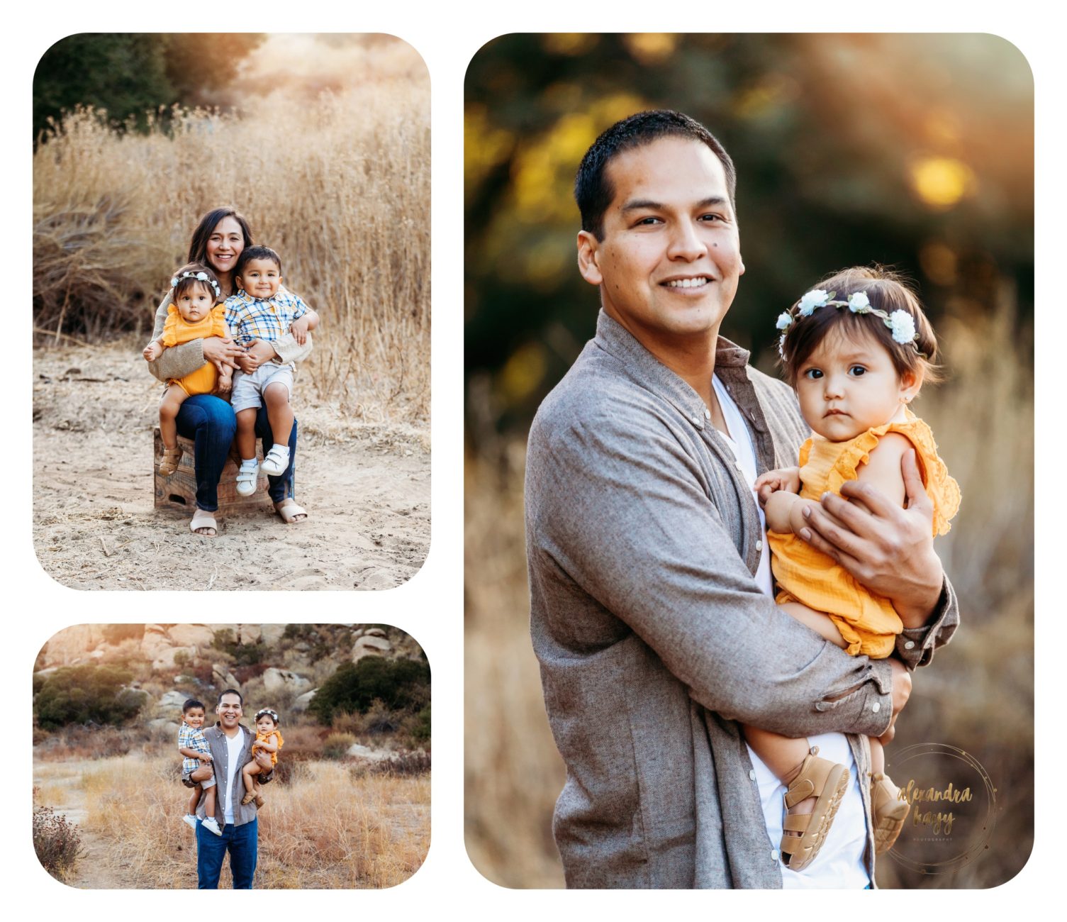 sherman oaks family photographer