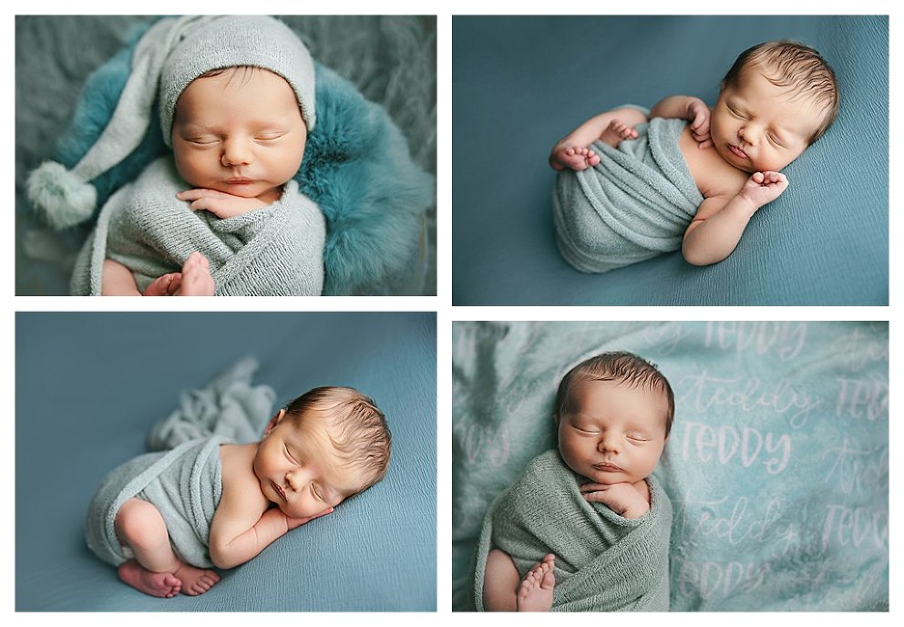 teddy newborn