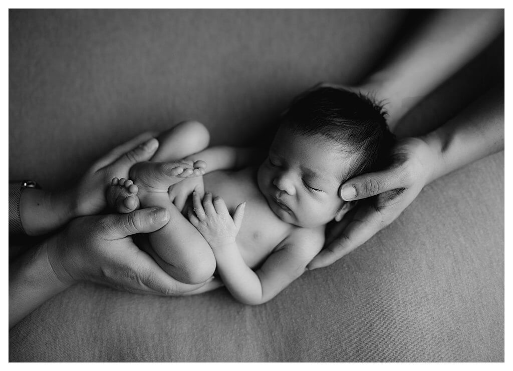 Woodland Hills, CA Newborn Photography Session