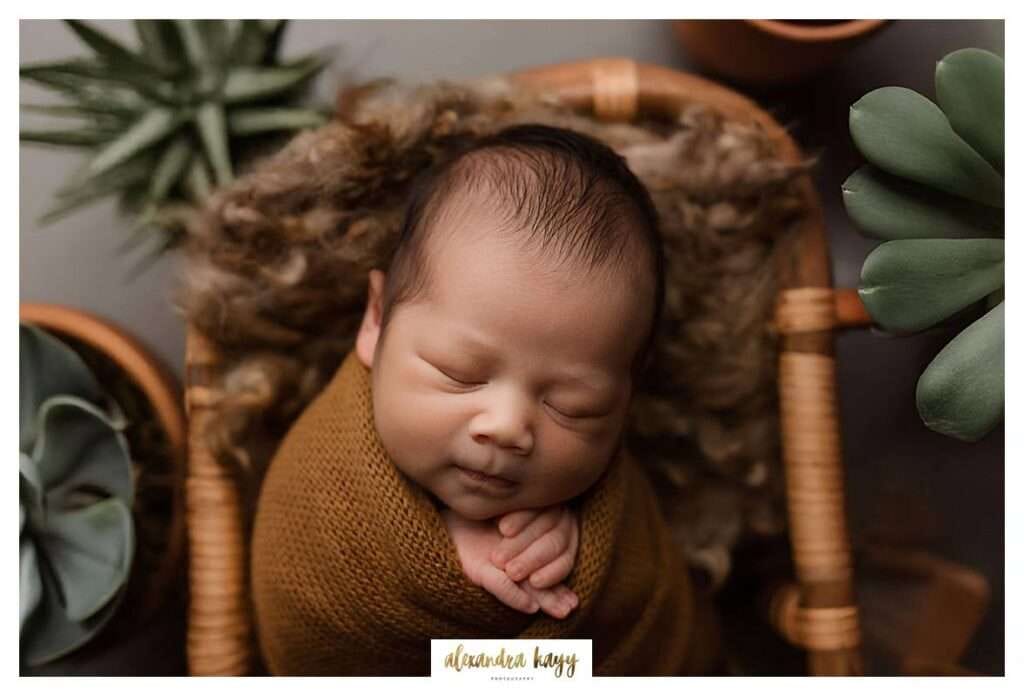 newborn portraits Paradise Valley, Litchfield Park family photographer, baby photographer near me