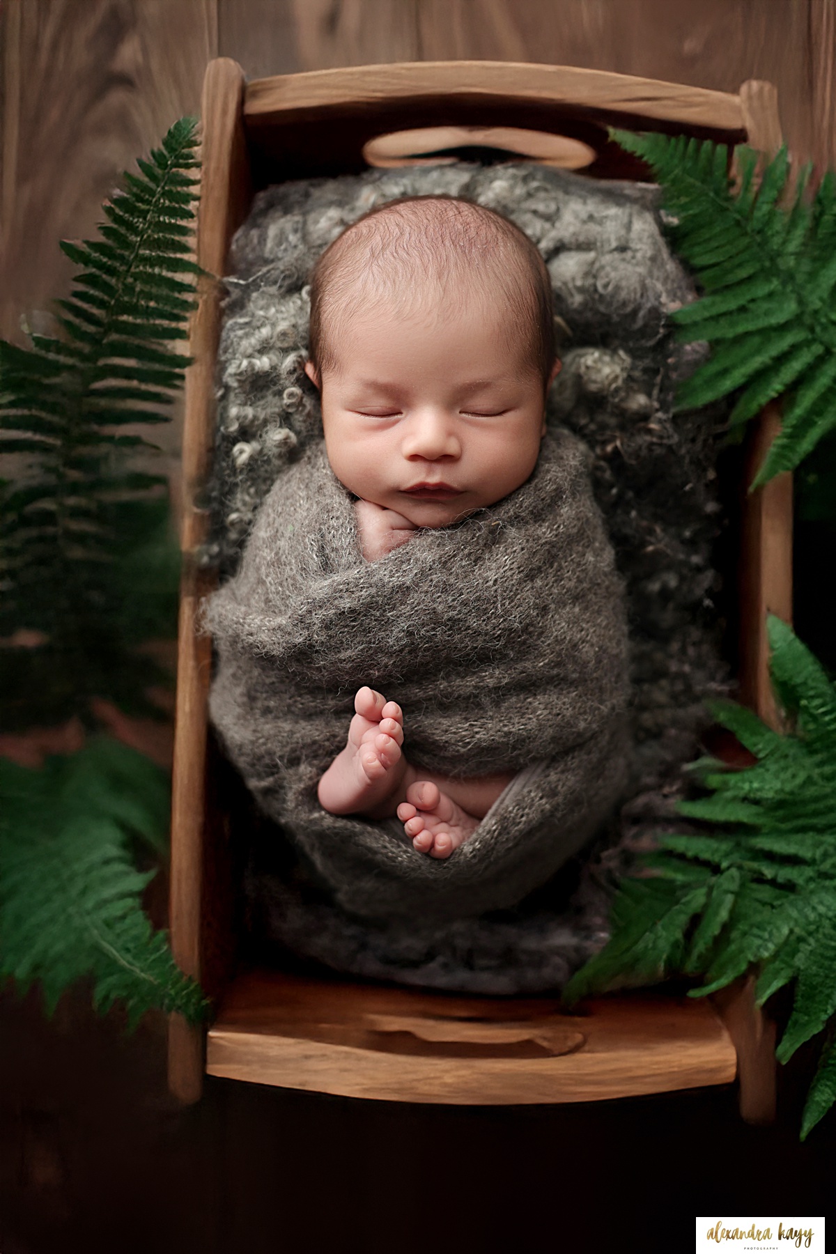 VerradoAZPhotographer_1599.jpg VerradoAZPhotographer_1599.jpg