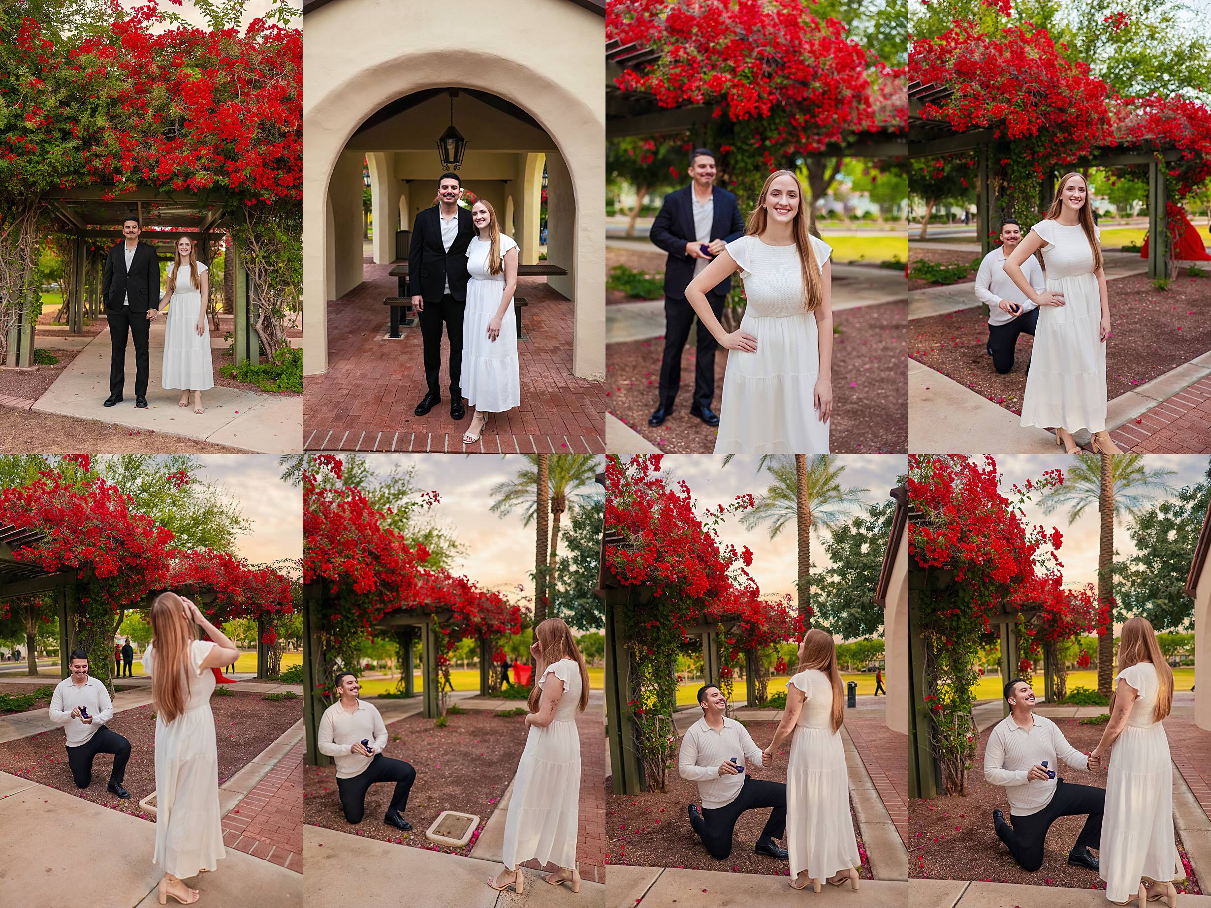 VerradoAZPhotographer_1698.jpg VerradoAZPhotographer_1698.jpg